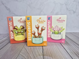 Flores de bloques SUCULENTAS